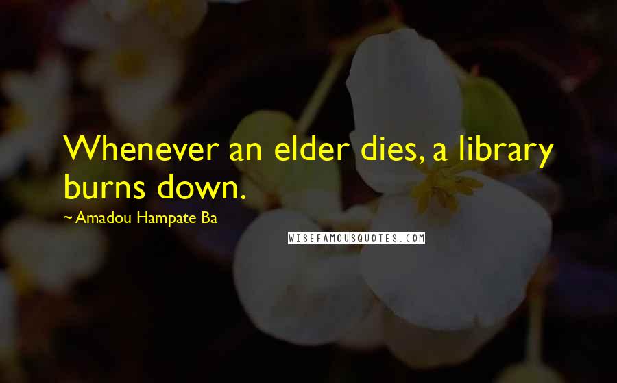 Amadou Hampate Ba Quotes: Whenever an elder dies, a library burns down.