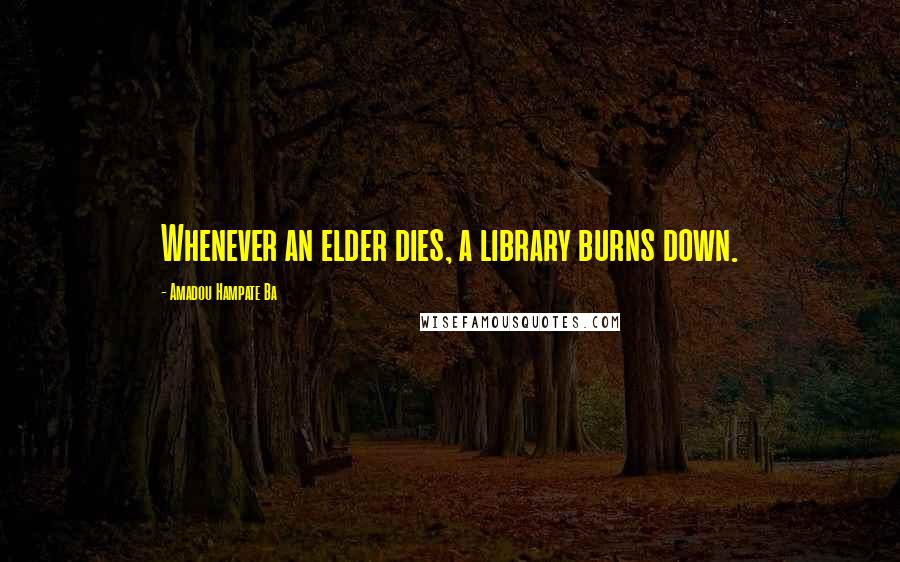 Amadou Hampate Ba Quotes: Whenever an elder dies, a library burns down.