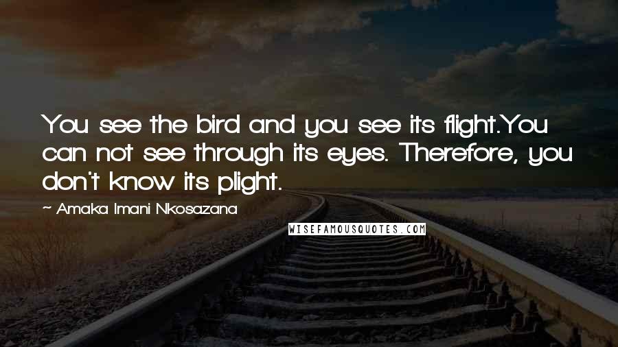 Amaka Imani Nkosazana Quotes: You see the bird and you see its flight.You can not see through its eyes. Therefore, you don't know its plight.