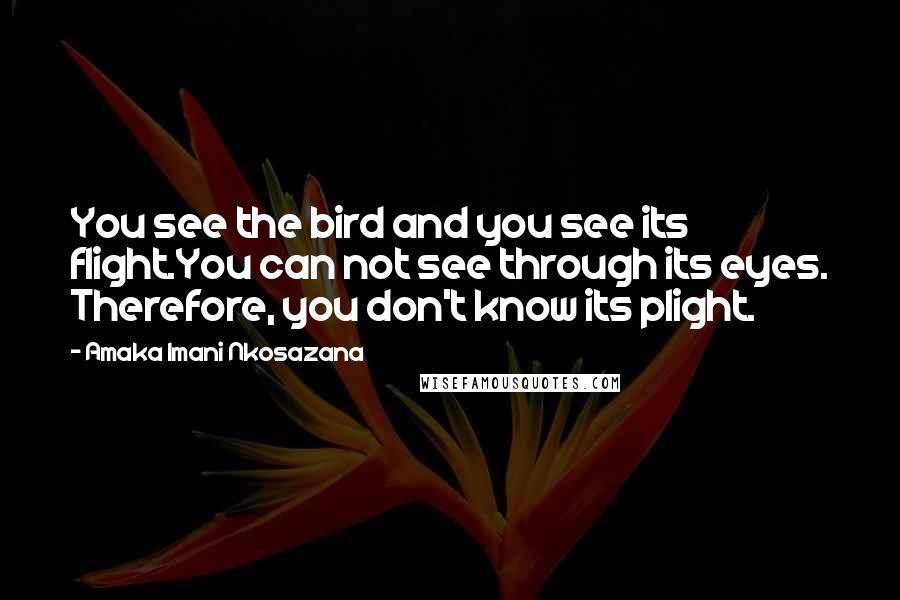 Amaka Imani Nkosazana Quotes: You see the bird and you see its flight.You can not see through its eyes. Therefore, you don't know its plight.