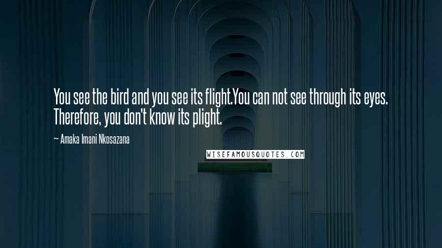 Amaka Imani Nkosazana Quotes: You see the bird and you see its flight.You can not see through its eyes. Therefore, you don't know its plight.