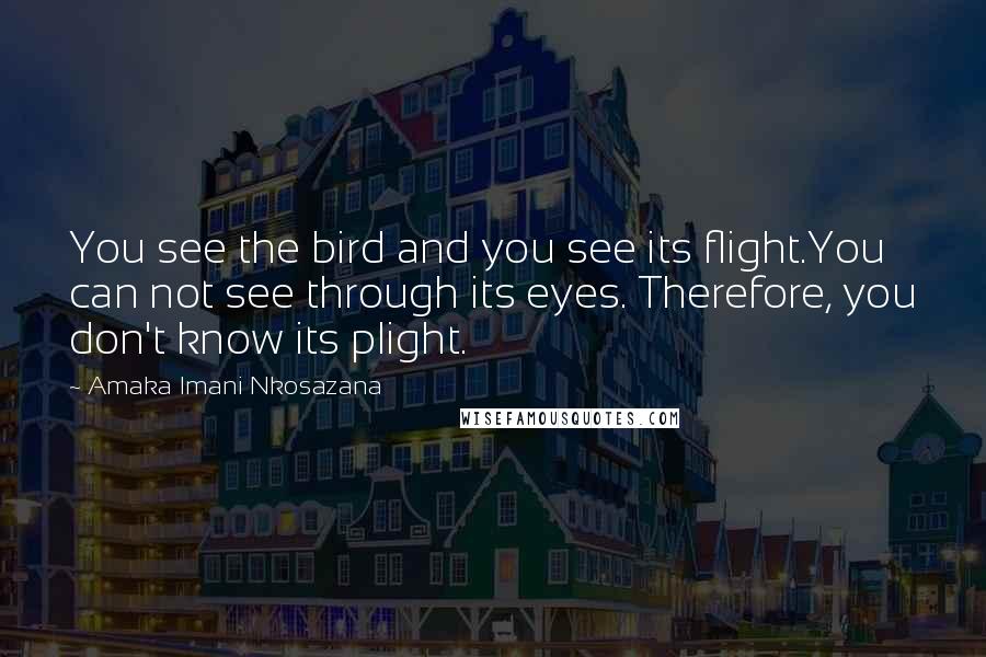 Amaka Imani Nkosazana Quotes: You see the bird and you see its flight.You can not see through its eyes. Therefore, you don't know its plight.