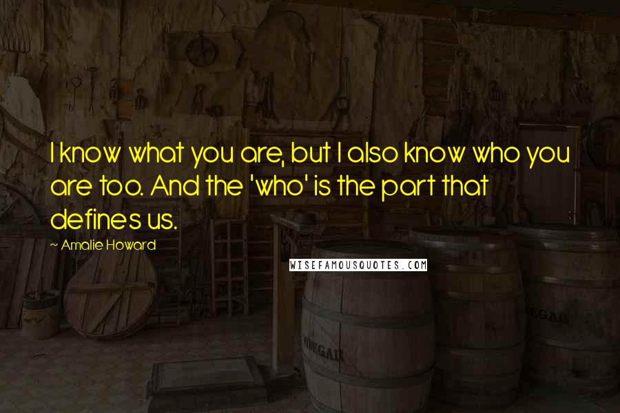 Amalie Howard Quotes: I know what you are, but I also know who you are too. And the 'who' is the part that defines us.