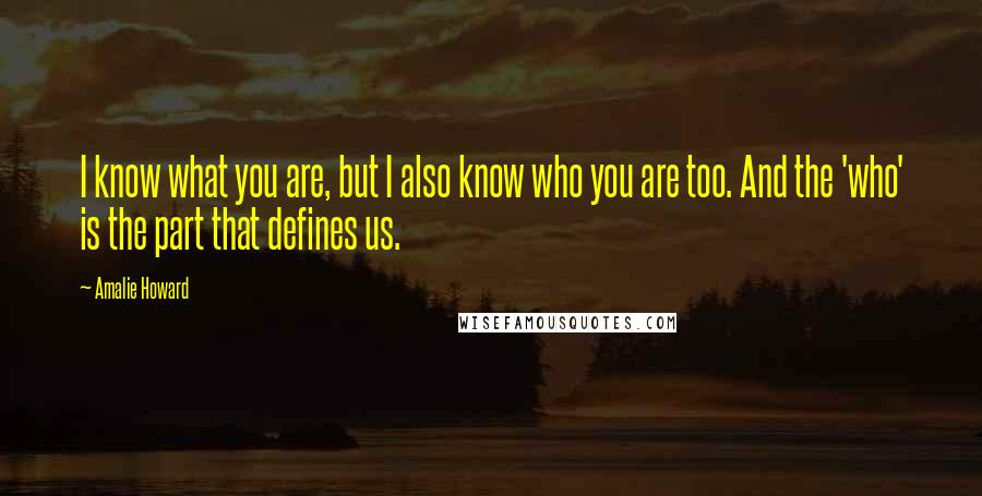 Amalie Howard Quotes: I know what you are, but I also know who you are too. And the 'who' is the part that defines us.