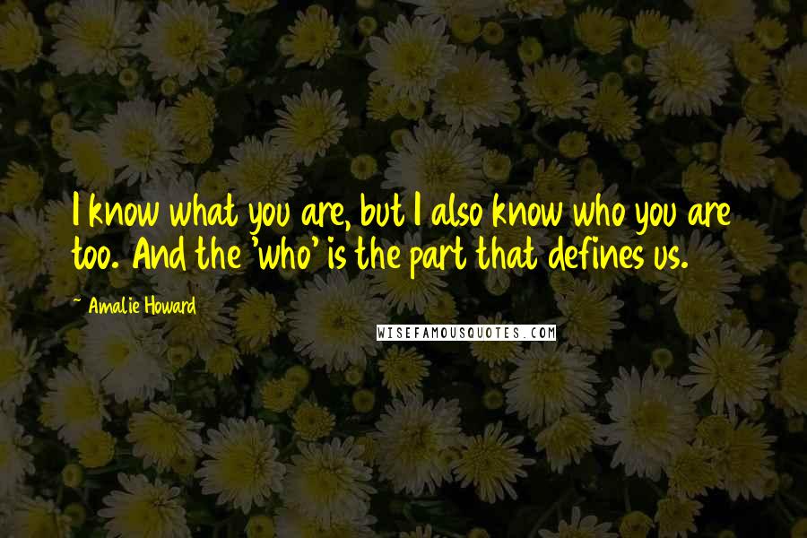 Amalie Howard Quotes: I know what you are, but I also know who you are too. And the 'who' is the part that defines us.