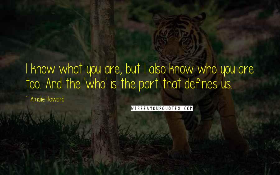 Amalie Howard Quotes: I know what you are, but I also know who you are too. And the 'who' is the part that defines us.