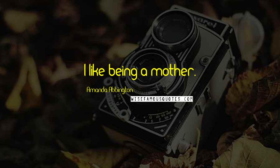 Amanda Abbington Quotes: I like being a mother.