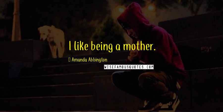 Amanda Abbington Quotes: I like being a mother.