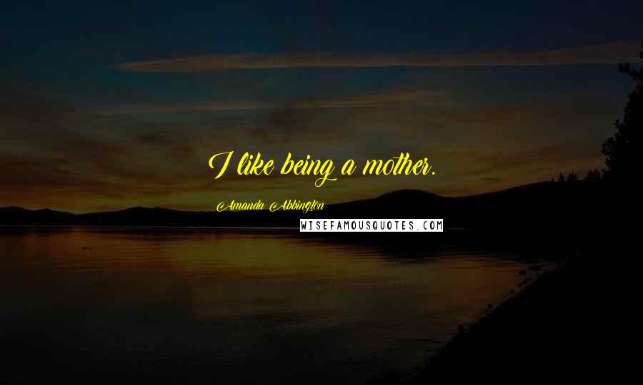 Amanda Abbington Quotes: I like being a mother.