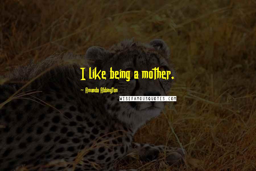 Amanda Abbington Quotes: I like being a mother.