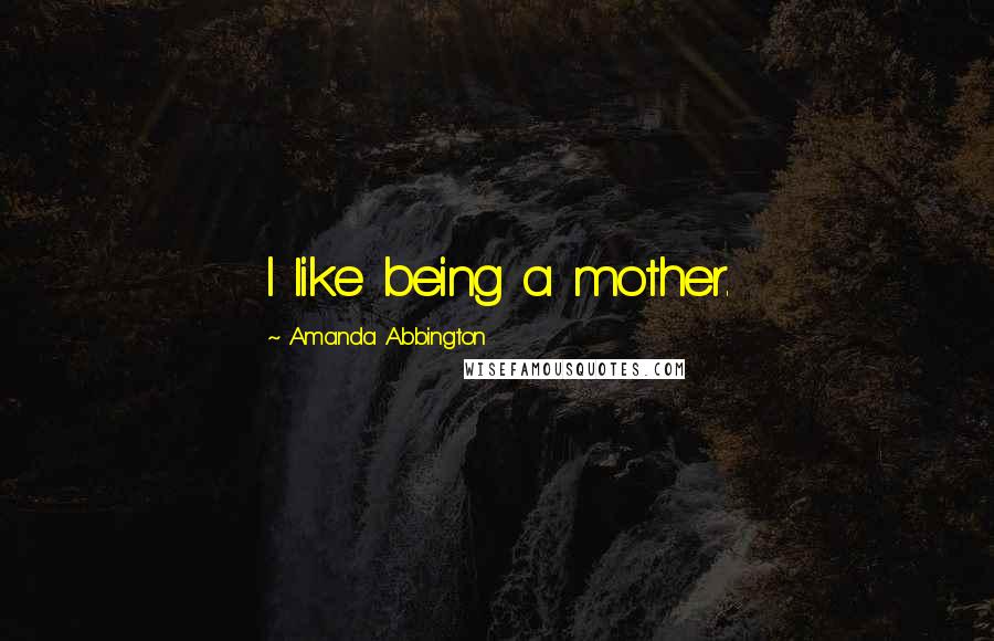 Amanda Abbington Quotes: I like being a mother.