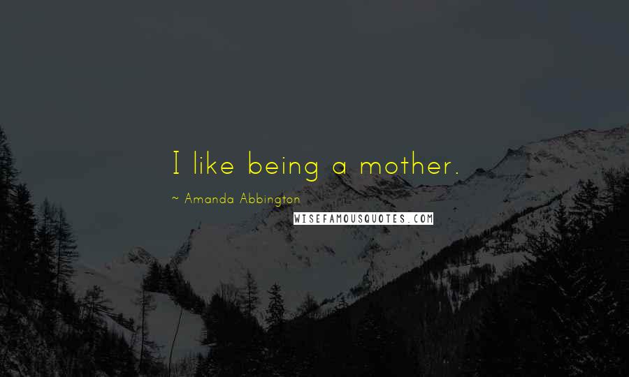 Amanda Abbington Quotes: I like being a mother.