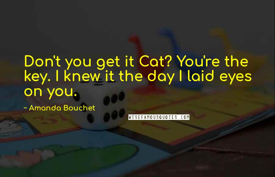 Amanda Bouchet Quotes: Don't you get it Cat? You're the key. I knew it the day I laid eyes on you.