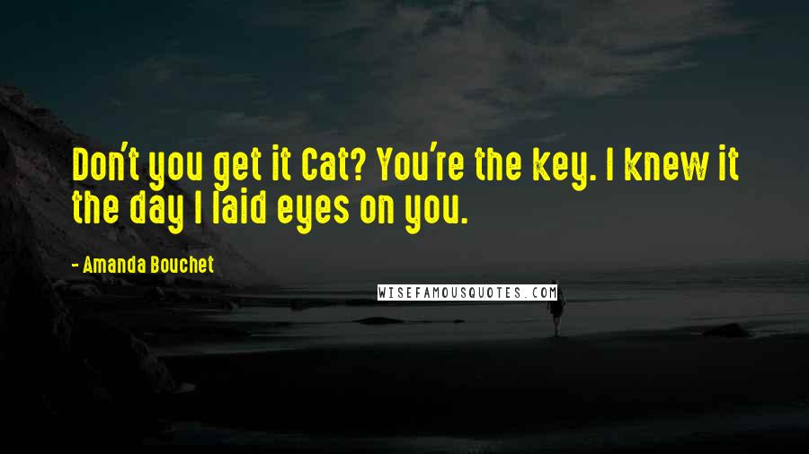 Amanda Bouchet Quotes: Don't you get it Cat? You're the key. I knew it the day I laid eyes on you.