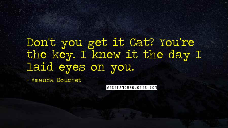 Amanda Bouchet Quotes: Don't you get it Cat? You're the key. I knew it the day I laid eyes on you.