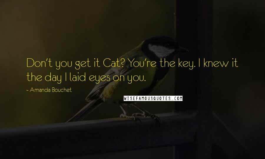 Amanda Bouchet Quotes: Don't you get it Cat? You're the key. I knew it the day I laid eyes on you.