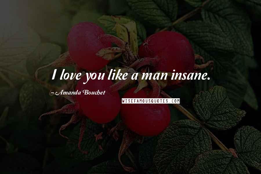 Amanda Bouchet Quotes: I love you like a man insane.