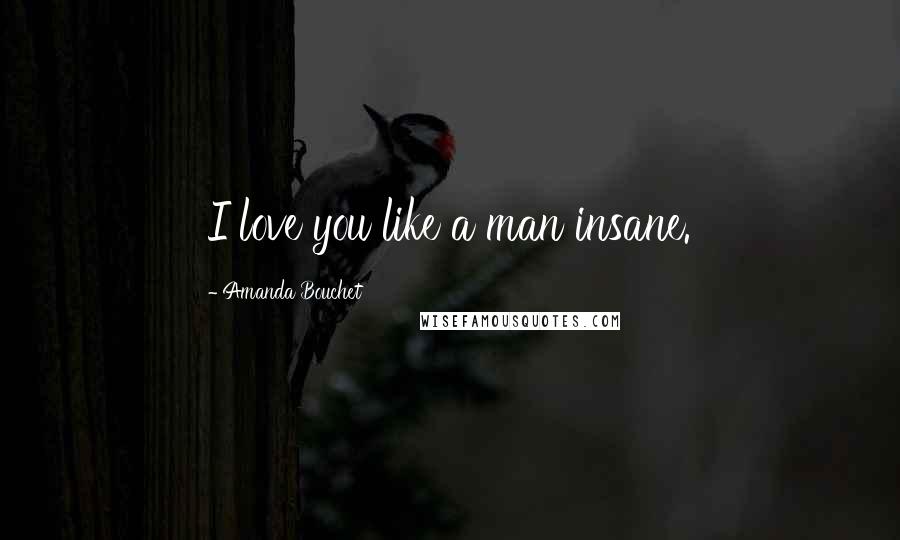 Amanda Bouchet Quotes: I love you like a man insane.