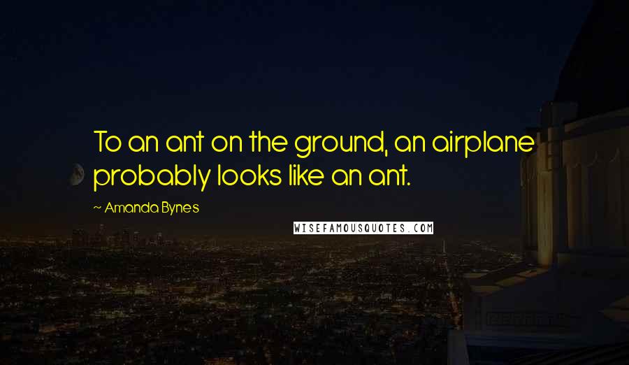 Amanda Bynes Quotes: To an ant on the ground, an airplane probably looks like an ant.