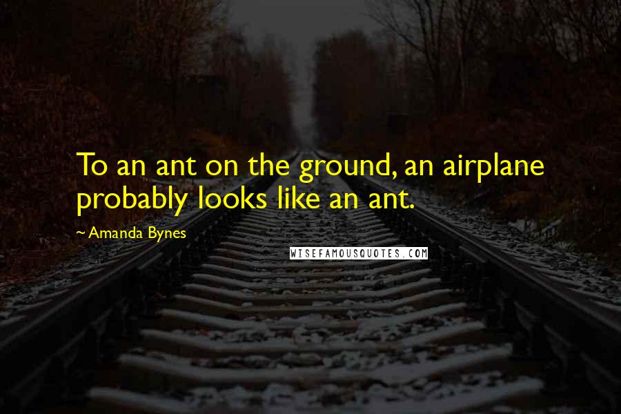 Amanda Bynes Quotes: To an ant on the ground, an airplane probably looks like an ant.