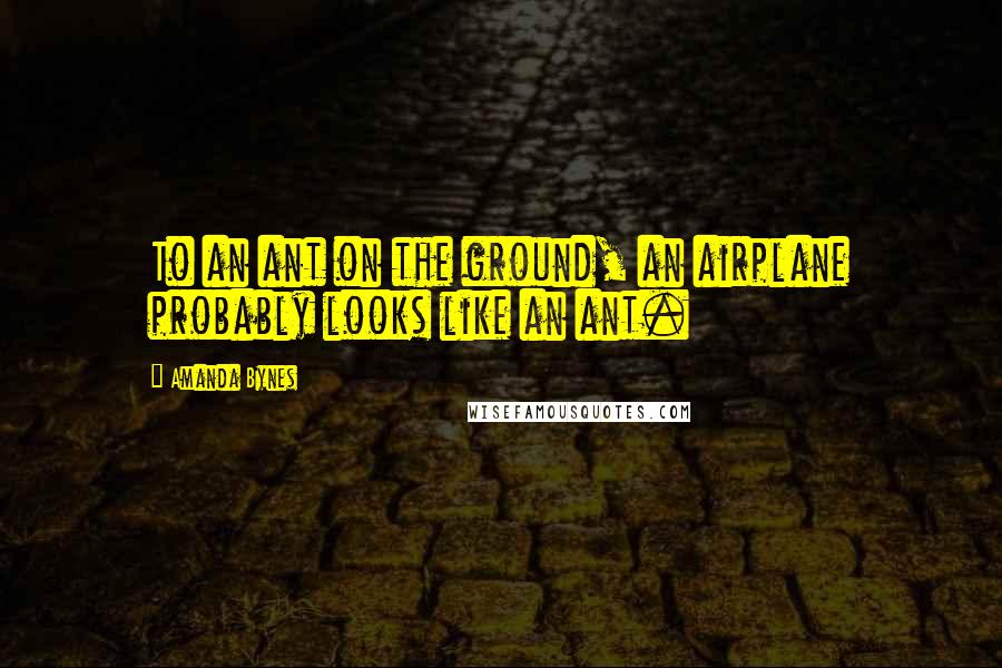Amanda Bynes Quotes: To an ant on the ground, an airplane probably looks like an ant.
