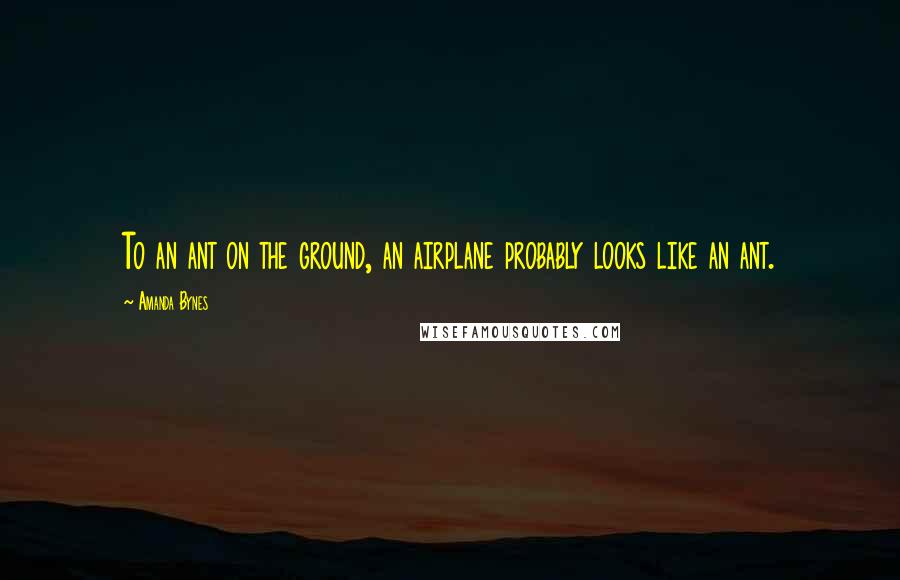 Amanda Bynes Quotes: To an ant on the ground, an airplane probably looks like an ant.