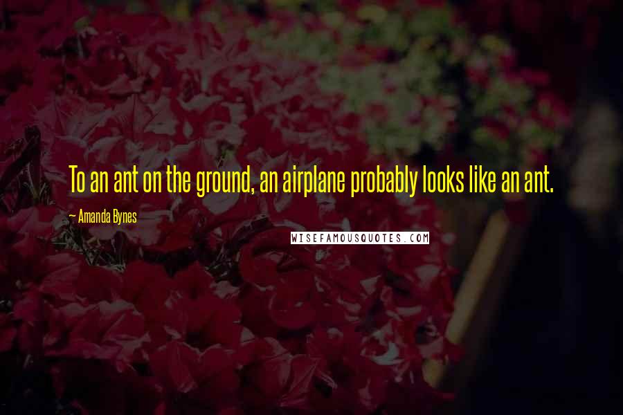 Amanda Bynes Quotes: To an ant on the ground, an airplane probably looks like an ant.