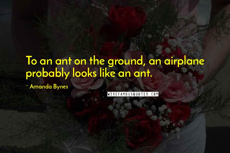 Amanda Bynes Quotes: To an ant on the ground, an airplane probably looks like an ant.