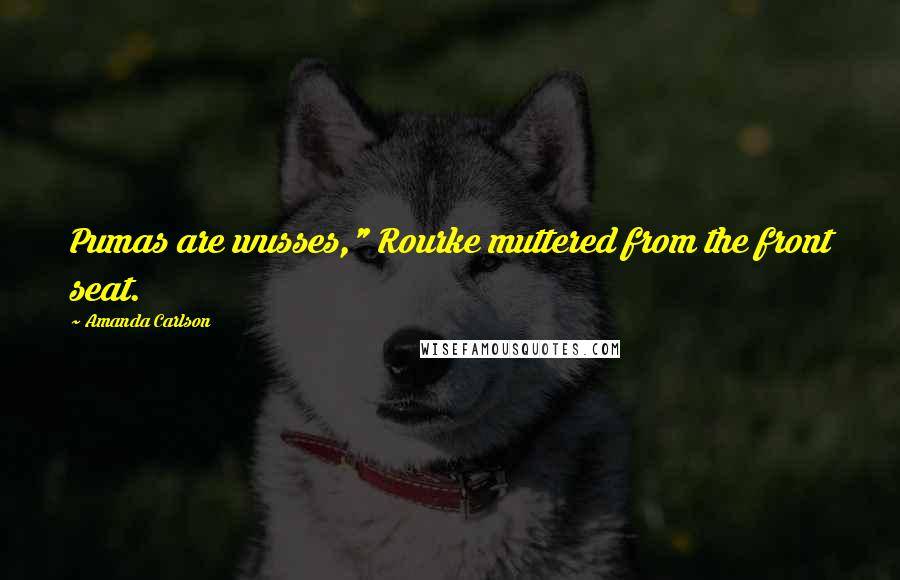 Amanda Carlson Quotes: Pumas are wusses," Rourke muttered from the front seat.