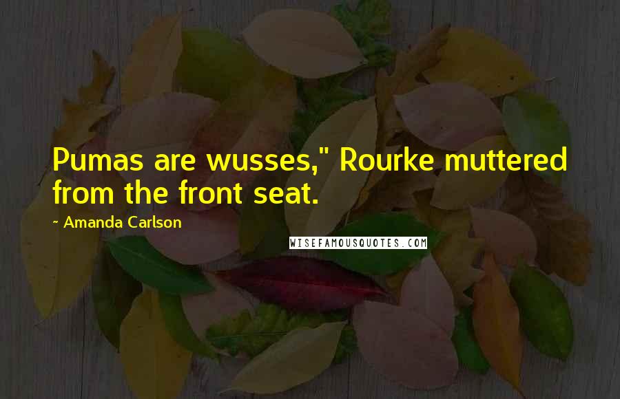 Amanda Carlson Quotes: Pumas are wusses," Rourke muttered from the front seat.