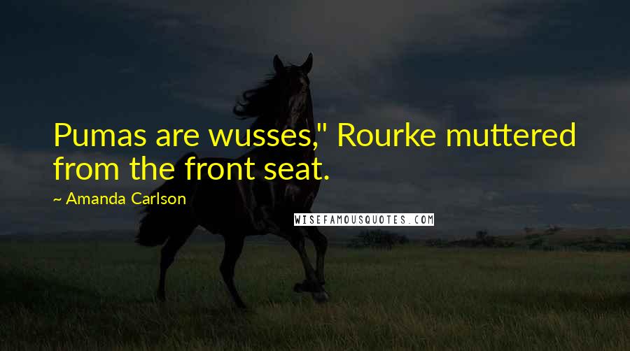 Amanda Carlson Quotes: Pumas are wusses," Rourke muttered from the front seat.