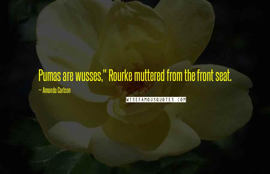 Amanda Carlson Quotes: Pumas are wusses," Rourke muttered from the front seat.