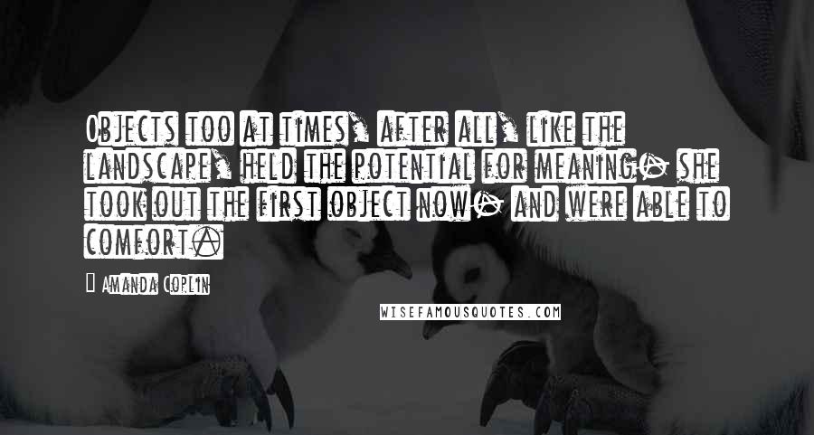 Amanda Coplin Quotes: Objects too at times, after all, like the landscape, held the potential for meaning- she took out the first object now- and were able to comfort.