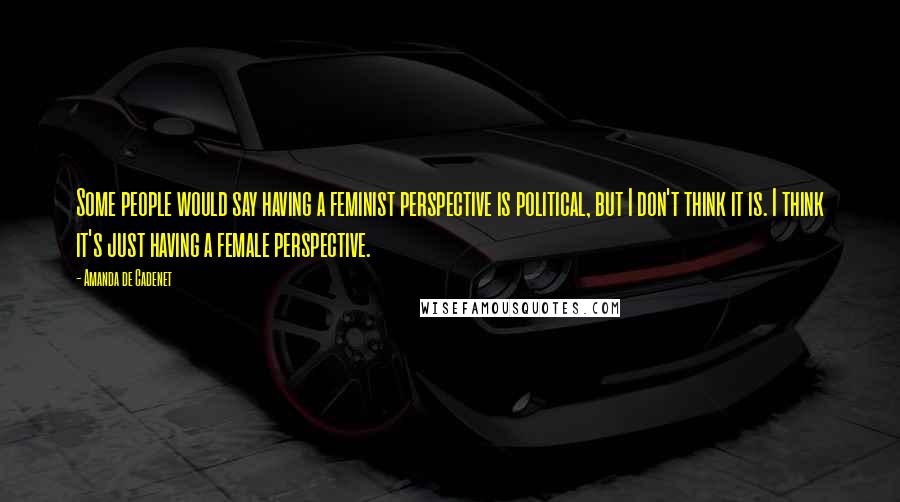 Amanda De Cadenet Quotes: Some people would say having a feminist perspective is political, but I don't think it is. I think it's just having a female perspective.