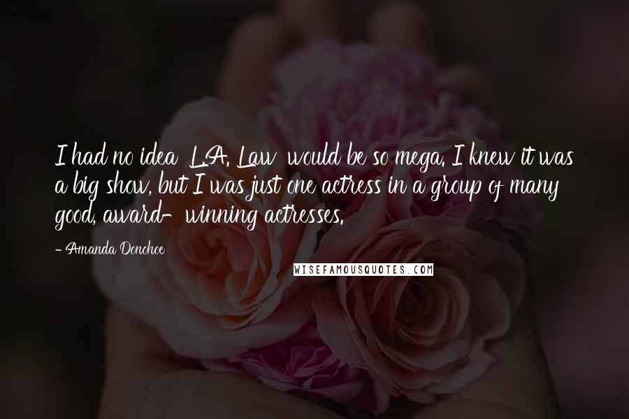 Amanda Donohoe Quotes: I had no idea 'L.A. Law' would be so mega. I knew it was a big show, but I was just one actress in a group of many good, award-winning actresses.