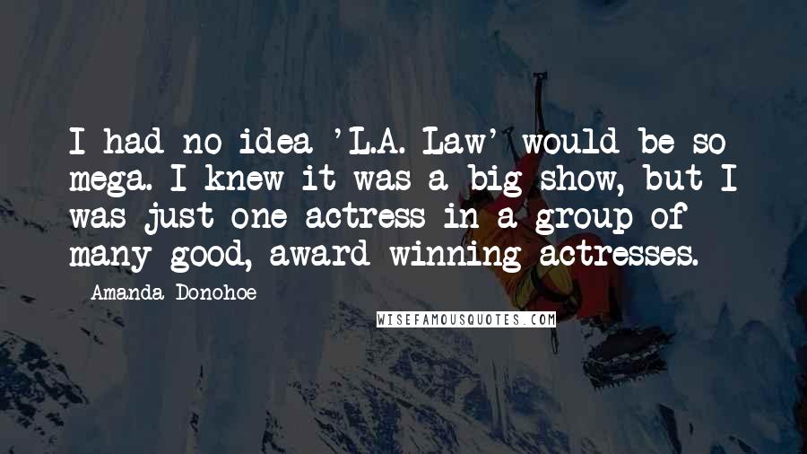 Amanda Donohoe Quotes: I had no idea 'L.A. Law' would be so mega. I knew it was a big show, but I was just one actress in a group of many good, award-winning actresses.