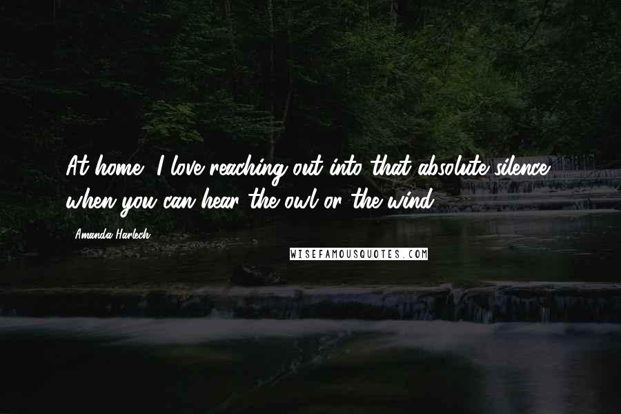 Amanda Harlech Quotes: At home, I love reaching out into that absolute silence, when you can hear the owl or the wind.