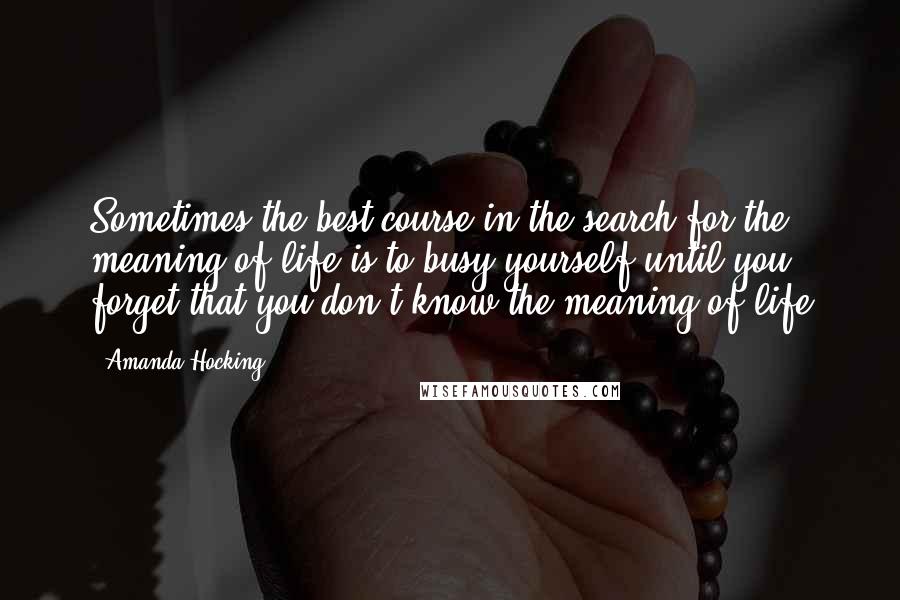 Amanda Hocking Quotes: Sometimes the best course in the search for the meaning of life is to busy yourself until you forget that you don't know the meaning of life