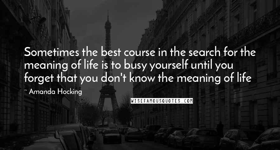 Amanda Hocking Quotes: Sometimes the best course in the search for the meaning of life is to busy yourself until you forget that you don't know the meaning of life