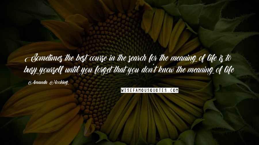 Amanda Hocking Quotes: Sometimes the best course in the search for the meaning of life is to busy yourself until you forget that you don't know the meaning of life