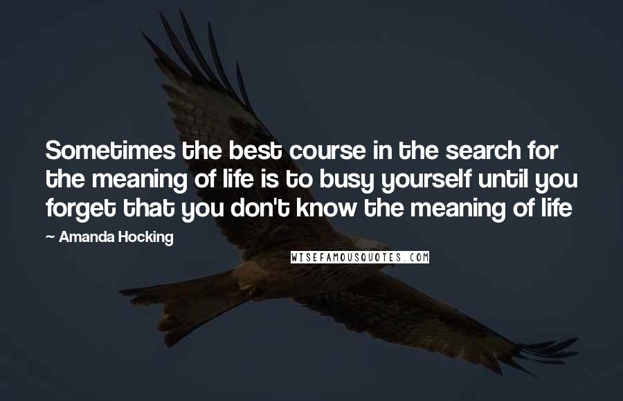 Amanda Hocking Quotes: Sometimes the best course in the search for the meaning of life is to busy yourself until you forget that you don't know the meaning of life