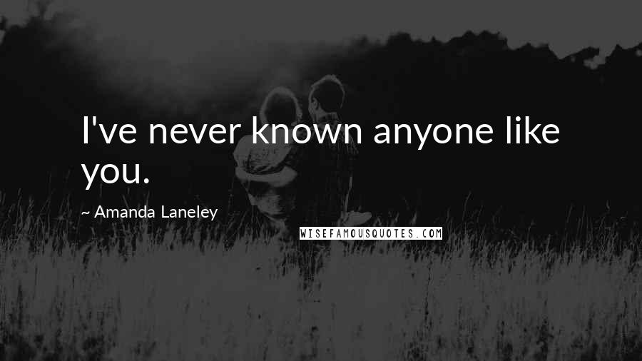 Amanda Laneley Quotes: I've never known anyone like you.