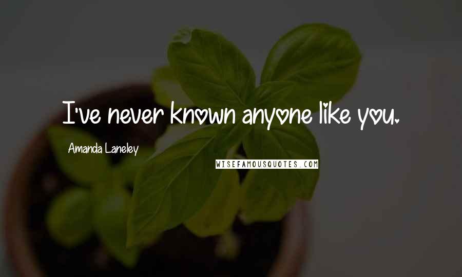 Amanda Laneley Quotes: I've never known anyone like you.