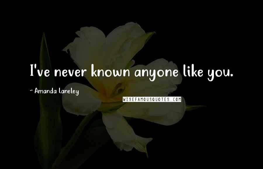 Amanda Laneley Quotes: I've never known anyone like you.