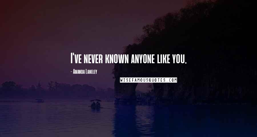 Amanda Laneley Quotes: I've never known anyone like you.