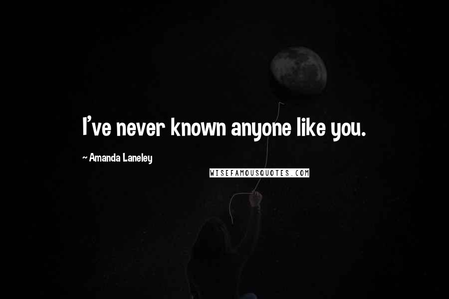 Amanda Laneley Quotes: I've never known anyone like you.