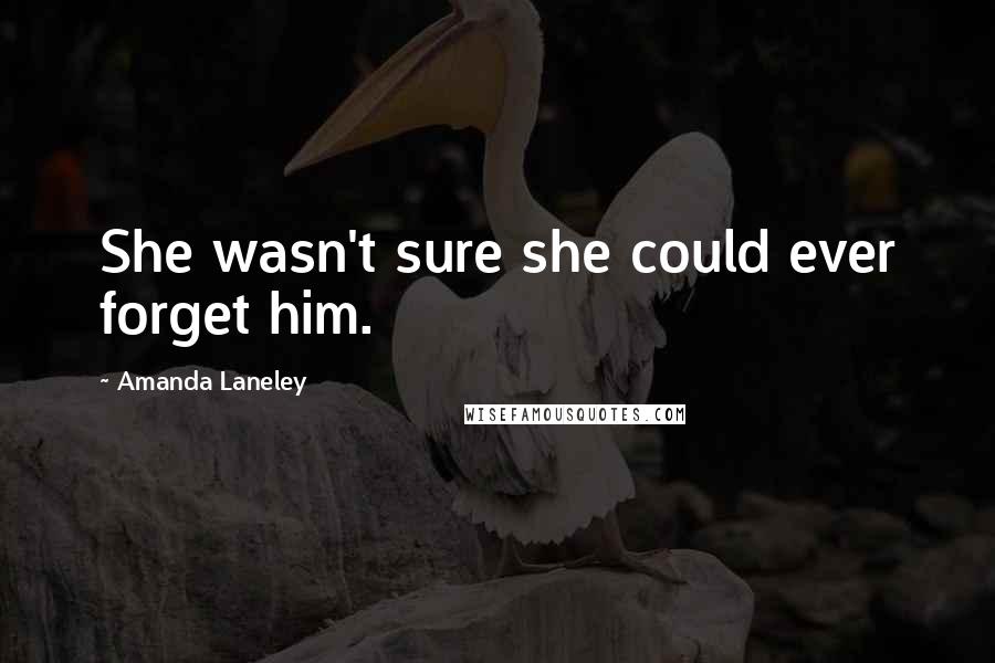 Amanda Laneley Quotes: She wasn't sure she could ever forget him.