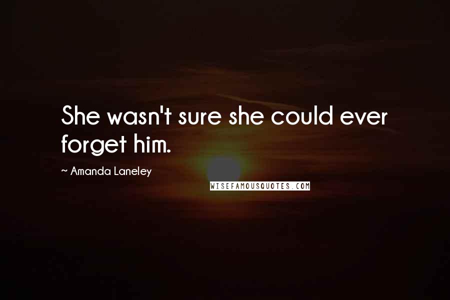 Amanda Laneley Quotes: She wasn't sure she could ever forget him.