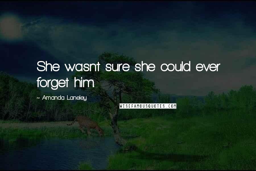 Amanda Laneley Quotes: She wasn't sure she could ever forget him.