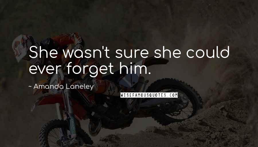 Amanda Laneley Quotes: She wasn't sure she could ever forget him.